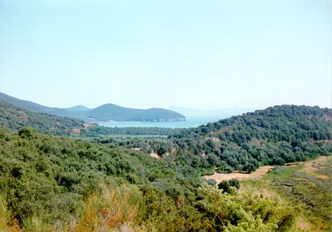 Maremma